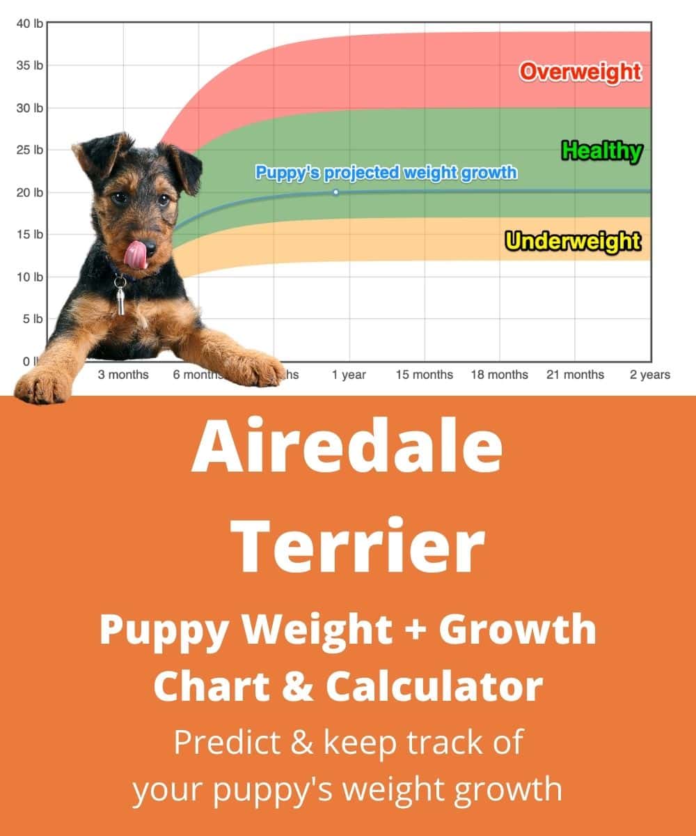 airedale-terrier Puppy Weight Growth Chart